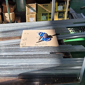 보강재 시공 모습